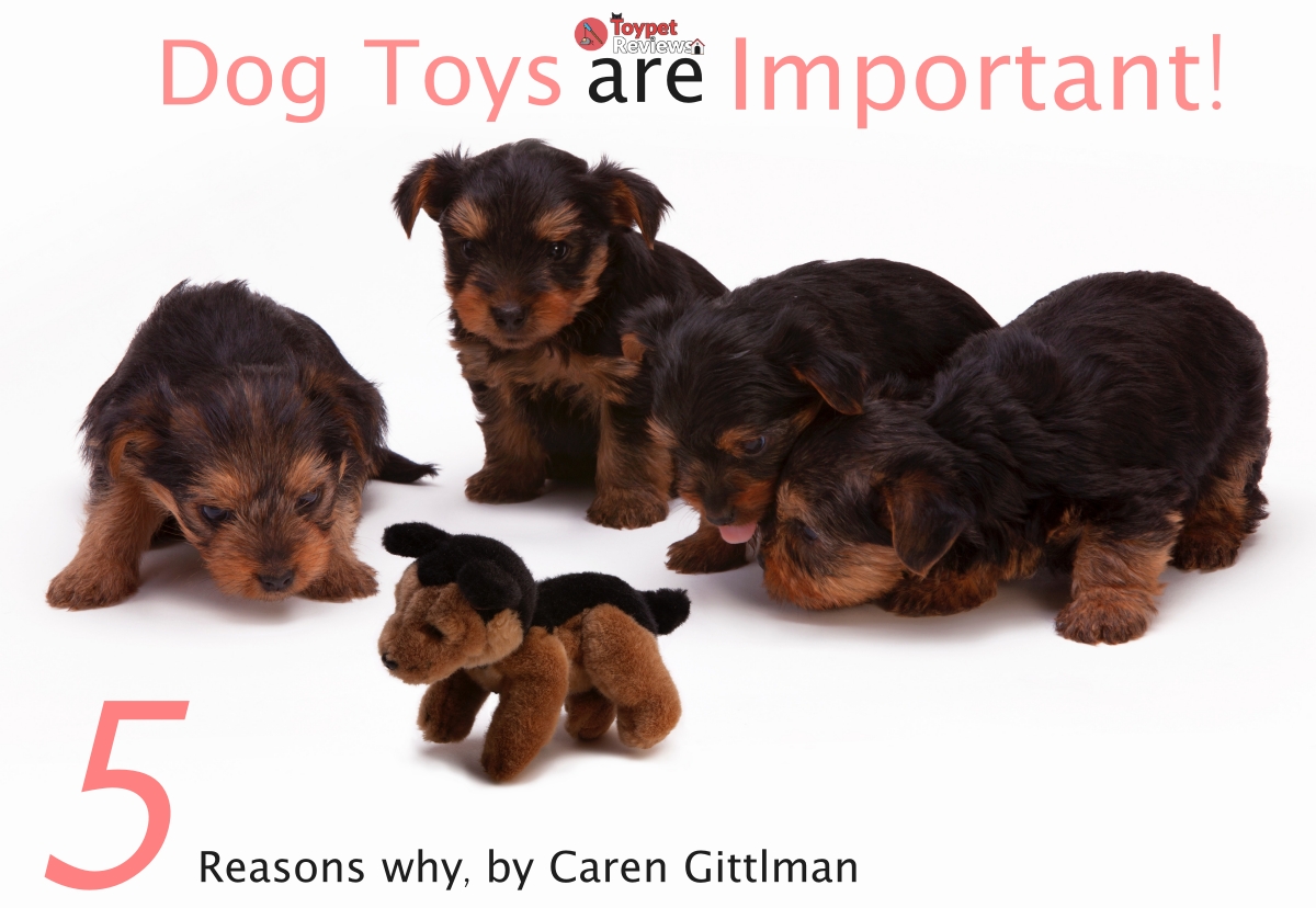 dog toys are important featured