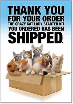 cat lady starter kit birthday card