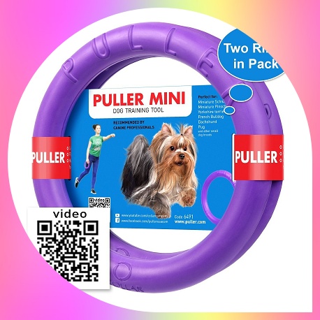 Collar Dog Toy