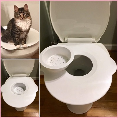 Kitty’s Loo Potty Training Kit for Kittens