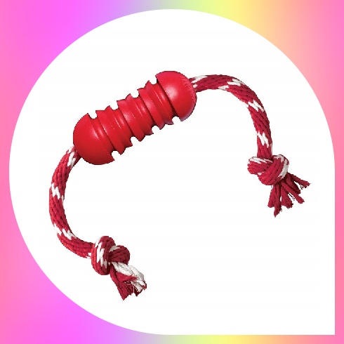 Kong Dental with Rope