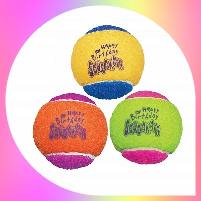 KONG SqueakAir Birthday Ball Dog Toy