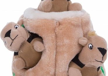 Outward Hound Kyjen 31001 Hide A Squirrel Plush Dog Toy