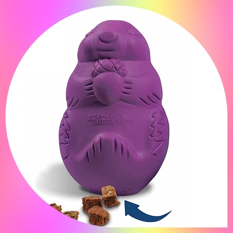 PetSafe Busy Buddy Squirrel Dude Dog Toy
