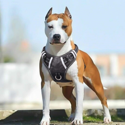 Big Dog Harness No Pull Adjustable Pet