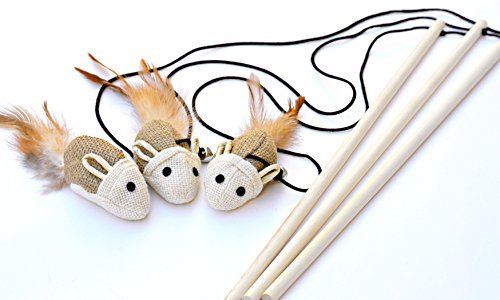 Earthtone Solutions Cat Kitten Teaser Wand Toys