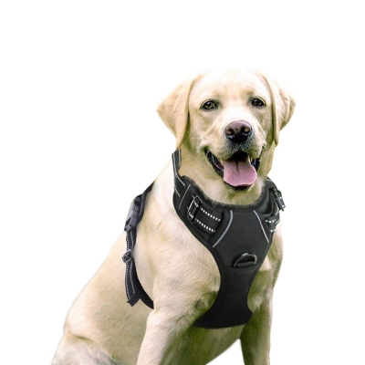 Rabbitgoo Dog Harness No-Pull Pet Harness
