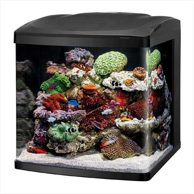 Coralife LED Biocube Aquarium