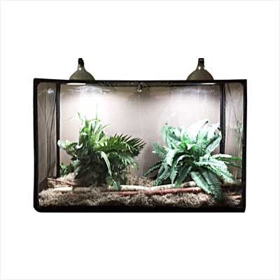 Educational Science Reptilarium