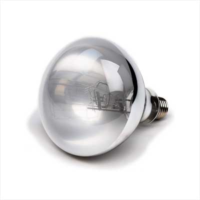 Evergreen Pet Supplies 100 Watt UVA UVB Mercury Vapor Bulb