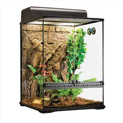 Exo Terra Glass Terrarium Mayan