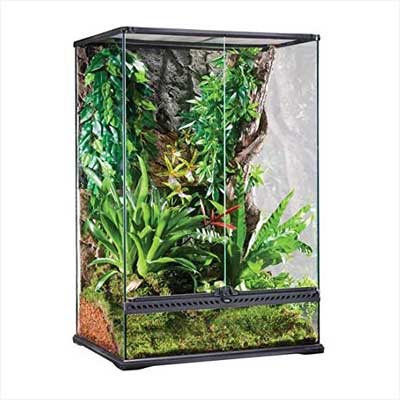 Exo Terra High Glass Terrarium