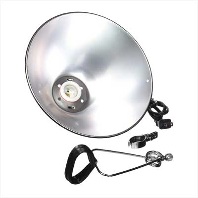 Fluker’s Repta-Clamp Lamp