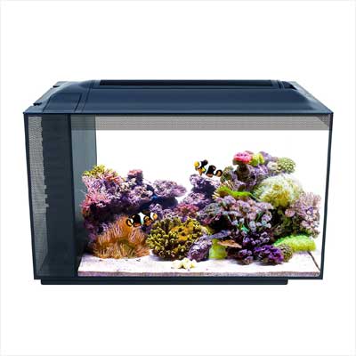 Fluval Aquarium Kit