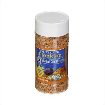 Freeze Dried Shrimp