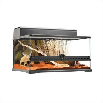 Hagen Exo Terra Short All Glass Terrarium