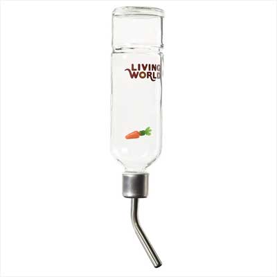 Living World Eco + Water Bottle