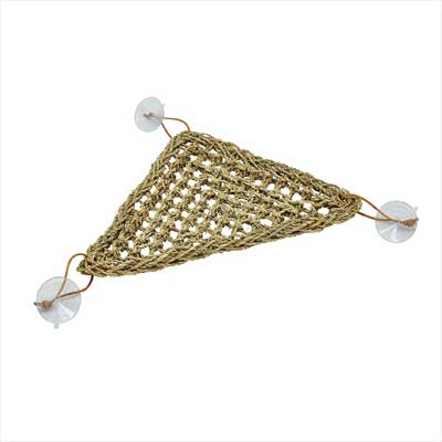 Niteangle Bearded Dragon Lounger