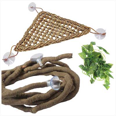 Pivby Bearded Dragon Hammock Kit