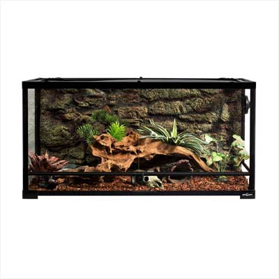 Repti-Zoo Wide Terrarium