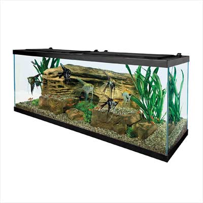 Tetra 55 Gallon Aquarium Kit