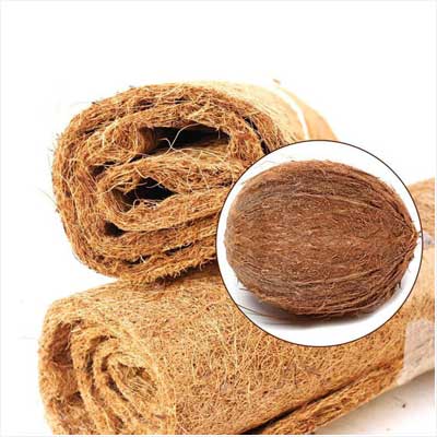Tfwadmx Coconut Fiber Mat Reptiles Carpet