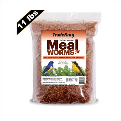 TradeKing Dried Mealworms