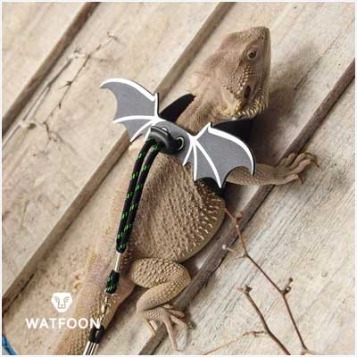 WATFOON Adjustable Lizard Leash
