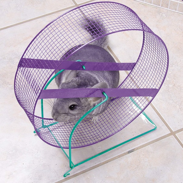 best chinchilla wheels