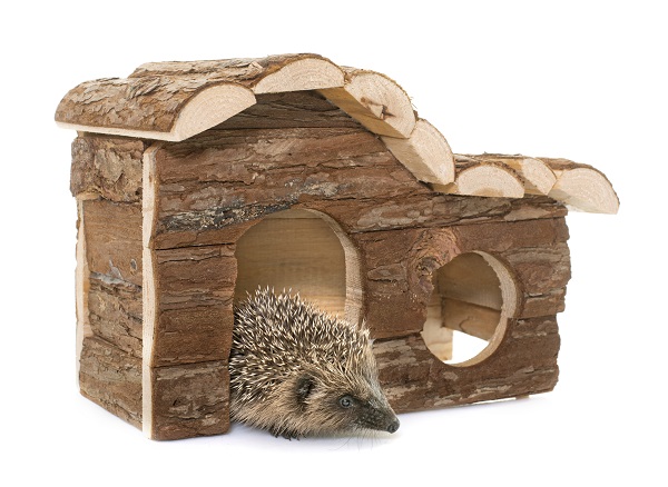 best hedgehog house