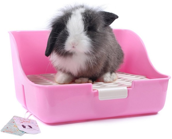 best litter boxes rabbits