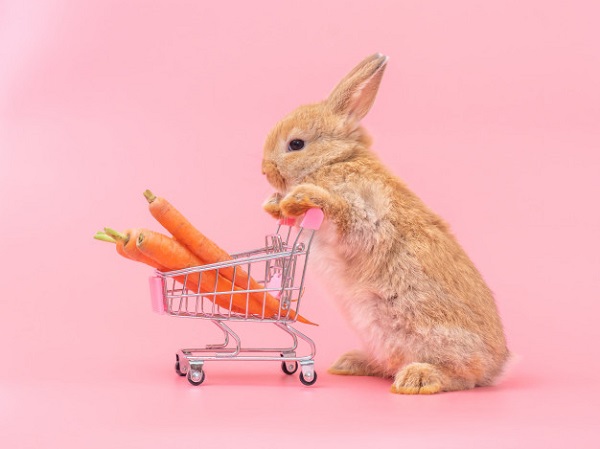 best rabbit treats