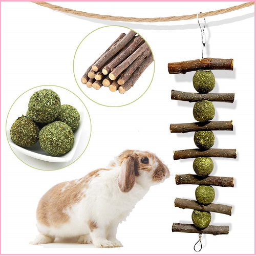 Bunny Chew Toy with Natural Organic Apple Sticks