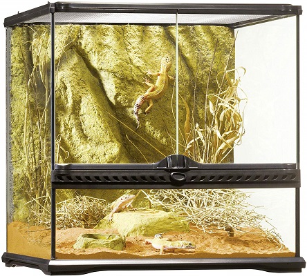 Exo Terra All Glass Terrarium