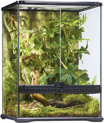 Exo Terra AllGlass Terrarium