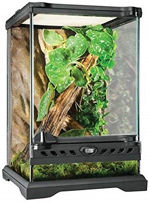 Exo Terra Glass Natural Terrarium Nano Tall – 8 x 8 x 12 Inches
