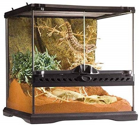 Exo Terra Glass Reptile Terrarium