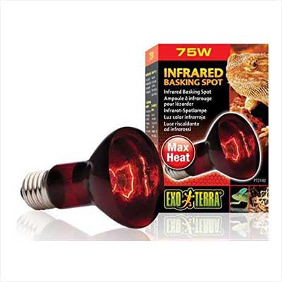Exo Terra Infrared Basking Spot Lamp