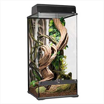 Exo Terra Natural Glass Terrarium X-Tall
