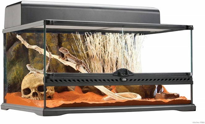 Exo Terra Short All Glass Terrarium