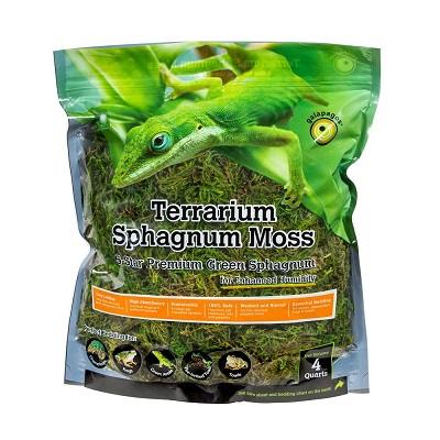 Galapagos Terrarium Sphagnum Moss