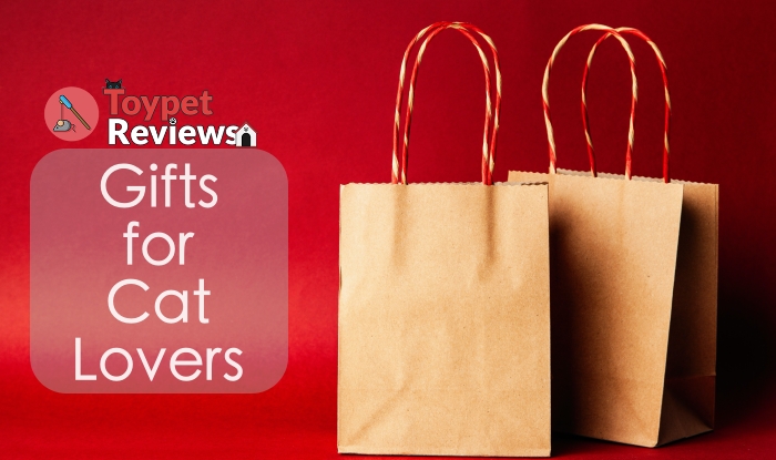 gifts for cat lovers featured image