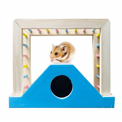 Hamiledyi Hamster Bridge