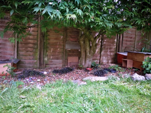 hedgehog houses garden