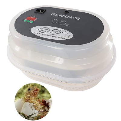 iTavah Digital Egg incubator