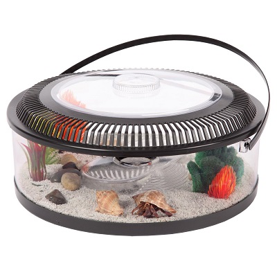 Koller Repitat Reptile Carrier