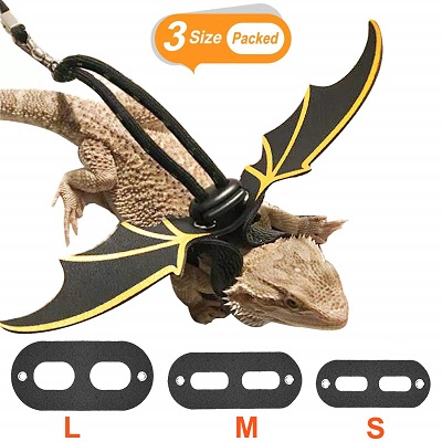 Kudes Adjustable Bearded Dragon Leather Harness Leash