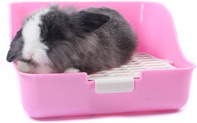 Mkono Small Animal Litter Box