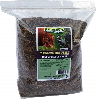 Naturespeck Insect Medley Plus