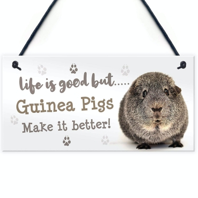 RED OCEAN Guinea Pig Sign
